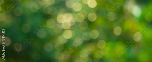 Bokeh of green leaf and sunshine. Blurred background of tree