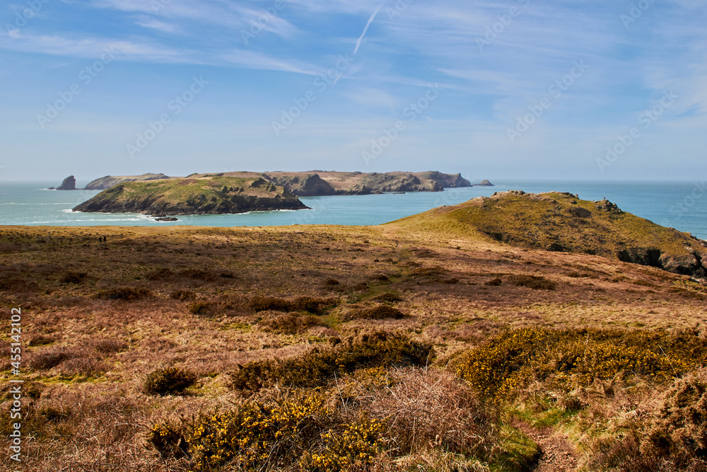 View of Skomer Island and the sea from Pembrokeshire Coast National Park View of Skomer Island and the sea from Pembrokeshire Coast National Park