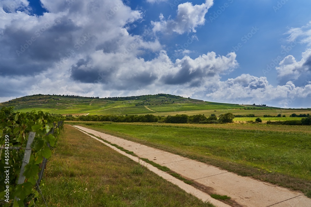 Tokaj, Hungary. Landscape of hungarian wine region, Unesco World Heritage.