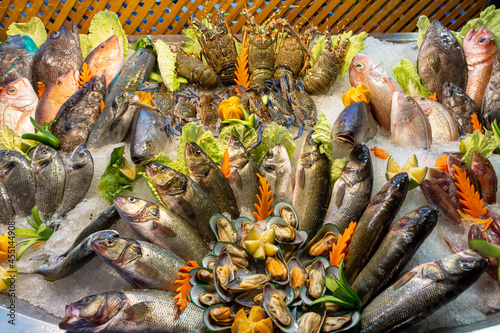 Fresh seafood is beautifully laid out on the counter