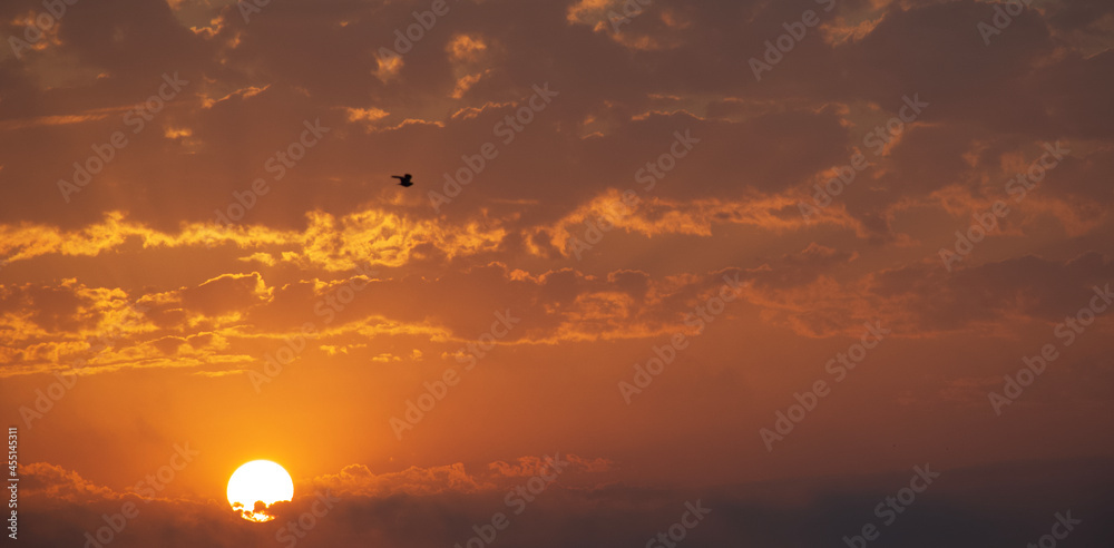 Fototapeta premium sunset over the lake