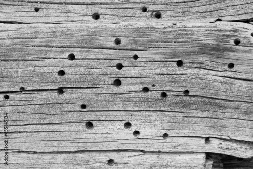 Trunk Abstraction