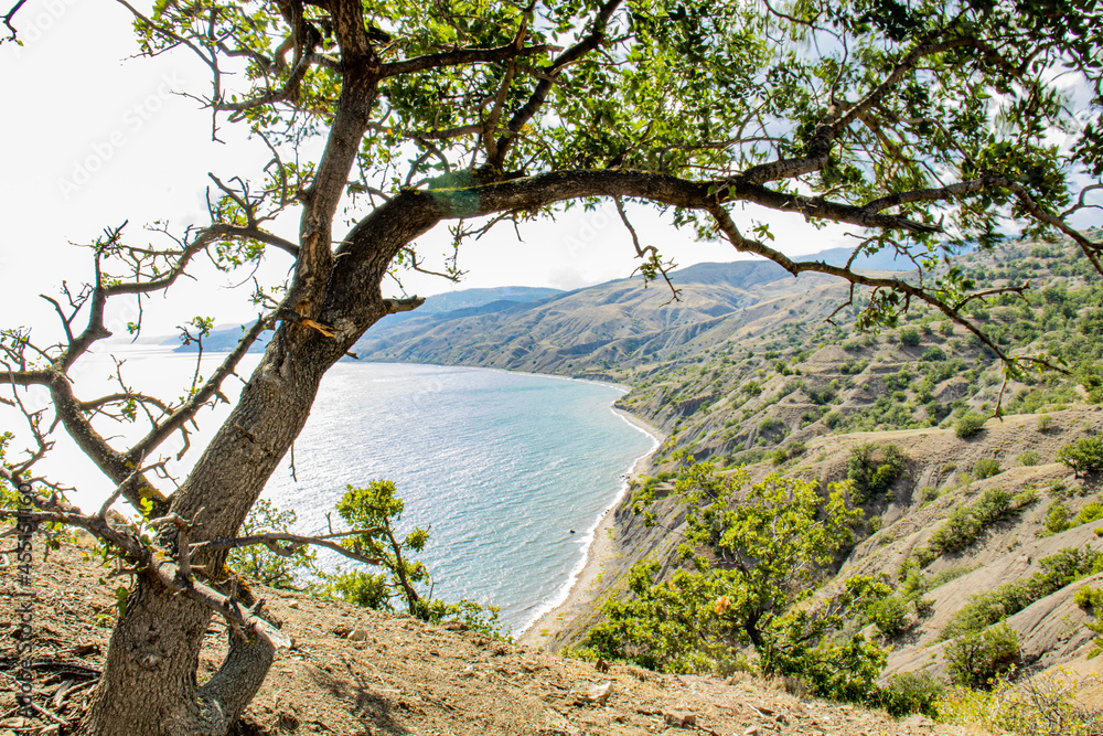 Landscape with the Black Sea