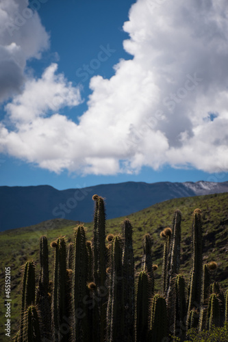 clouds over the mountain