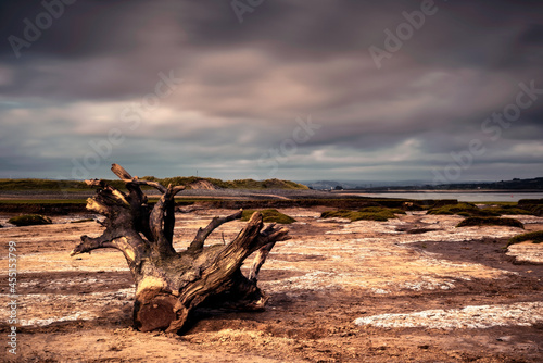 Barren and empty landscape with looming clouds in dramatic sky