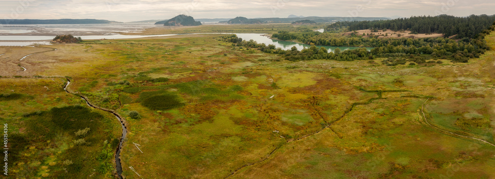 Aerial View of the Skagit River Estuary, North Fork Unit. The Skagit Bay estuary and its freshwater wetland habitats provide one of the most important waterfowl wintering areas in the Pacific Flyway. 