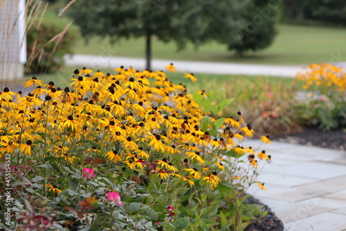perennial home garden