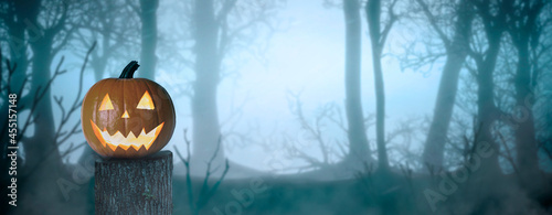 halloween pumpkin in a foggy and scary forest