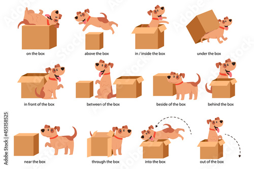 English Prepositions of Place Visual Aid for Children. Cute Dog Character in Different Poses Playing with Carton Box photo