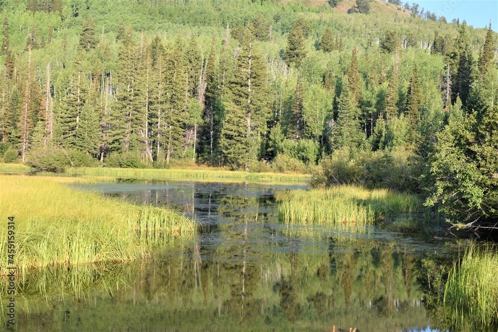 Obraz premium Silver Lake