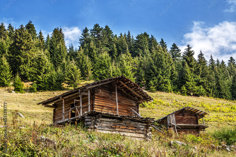 Magnificent wooden houses in mountain villages in Şavşat district of Artvin
