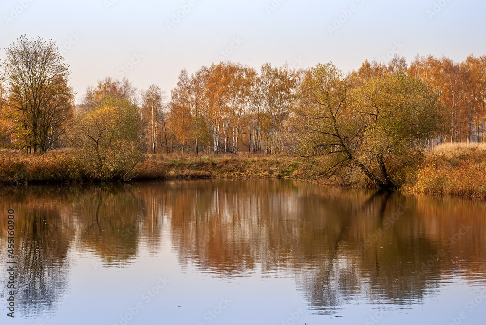 Autumn landscape. Golden trees on the shore of the lake. Autumn landscape. Golden trees on the shore of the lake.