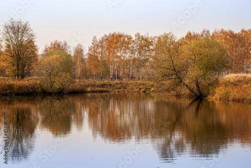 Autumn landscape. Golden trees on the shore of the lake.