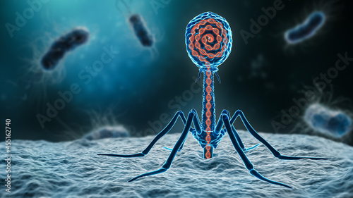 phage inserting its DNA into a bacterium 3D rendering illustration close-up. Microbiology, medical, bacteriology, biology, science, healthcare, medicine, infection concepts. photo