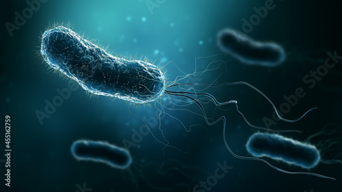 Group of bacteria such as Escherichia coli, Helicobacter pylori or salmonella 3D rendering illustration. Microbiology, medical, bacteriology, biology, science, medicine, infection concepts. photo