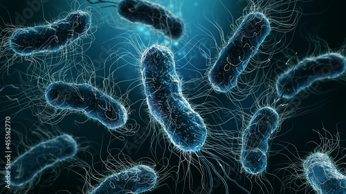 Colony of bacteria close-up 3D rendering illustration on blue background. Microbiology, medical, biology, science, medicine, infection, disease concepts. photo