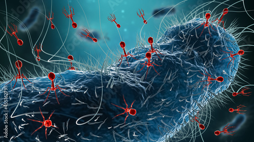 Generic bacteria such as Escherichia coli infected by group of phages or bacteriophages 3D rendering illustration. Microbiology, medicine, science, medical research, bacteriology, concept. photo
