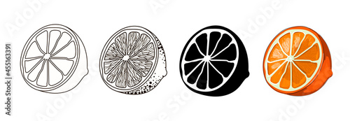 Set of four halves of an orange - outline style, doodle, cartoon and black silhouette of an orange. Stock vector illustration isolated on a white background. photo