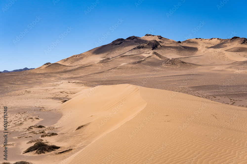 sand dunes in the desert