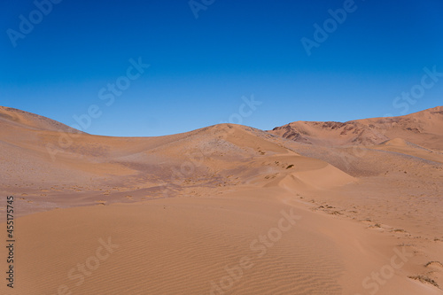 Fototapeta Naklejka Na Ścianę i Meble -  sand dunes in park