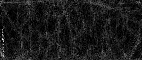 Foto Realistic spider web background texture