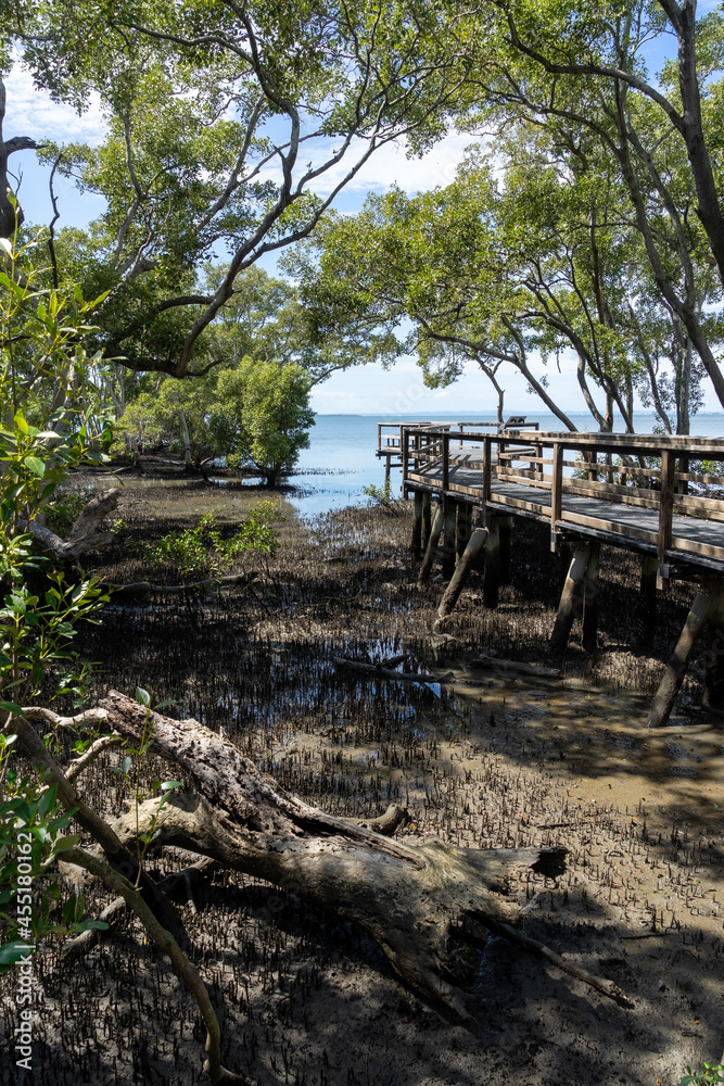 View from mangrove wetlands at low tide past boardwalk to the blue seas of Moreton Bay.
