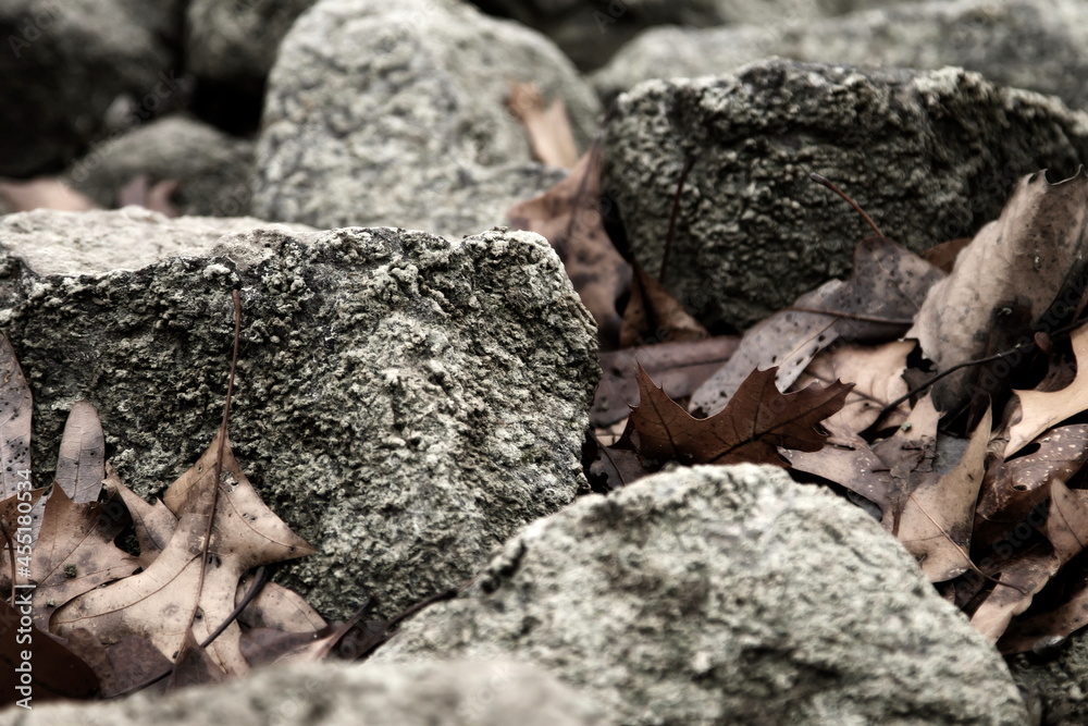 close up of a rock close up of a rock