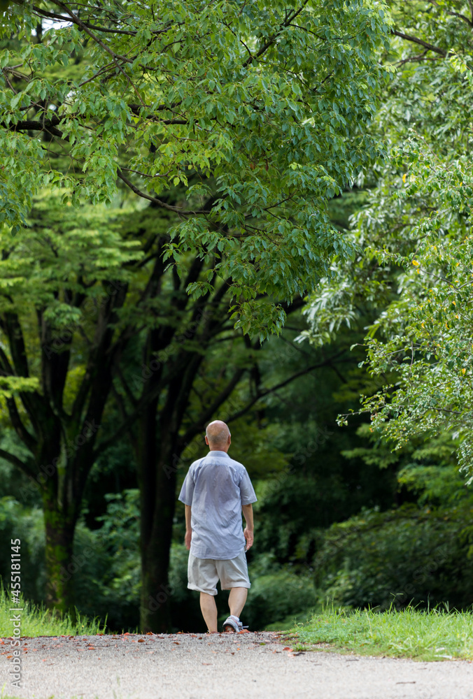 夏の公園で散歩しているシニア男性の姿