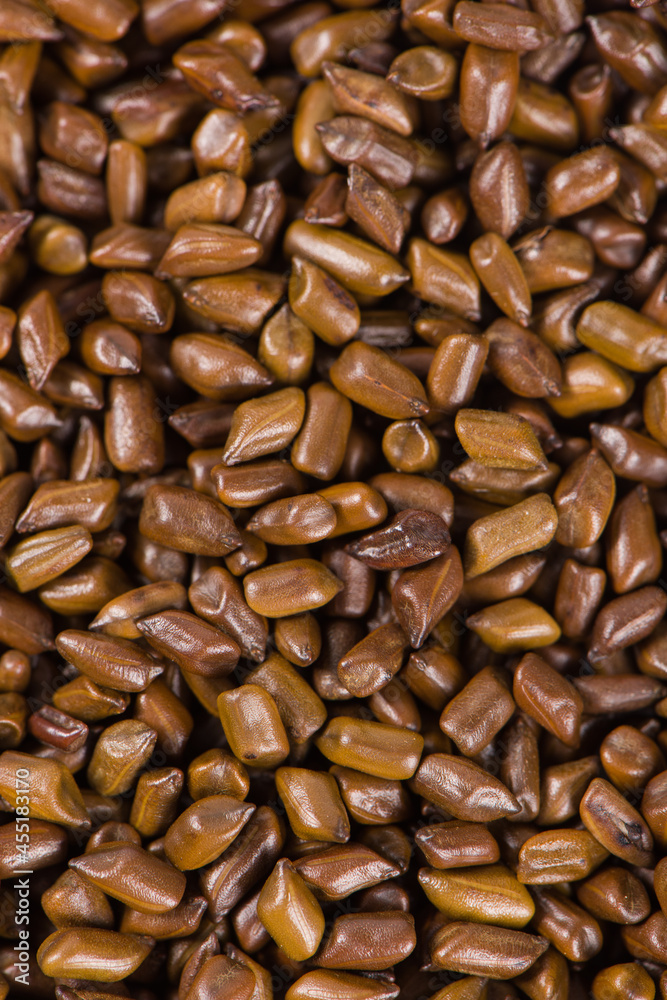 Chinese herbal medicine cassia seeds background Chinese herbal medicine cassia seeds background
