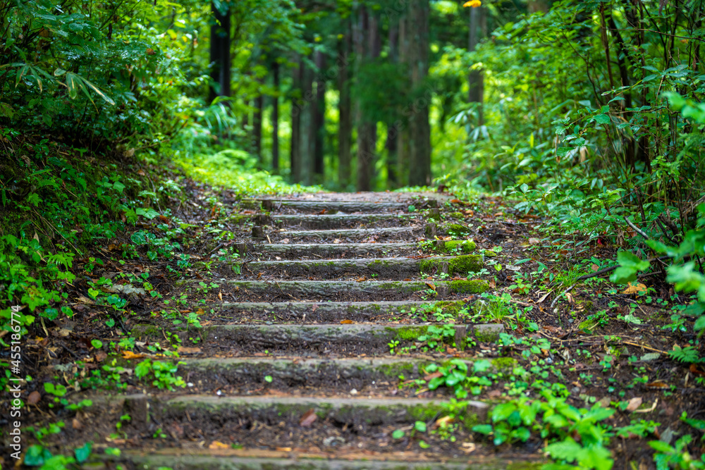 富山県富山市の立山連峰、鍬崎山、大品山、瀬戸蔵山の登山道の風景 A view of the trails in the Tateyama Mountain Range, Mt. Kuwasaki, Mt. Oshina, Mt. Setokura, Toyama city, Toyama prefecture. 富山県富山市の立山連峰、鍬崎山、大品山、瀬戸蔵山の登山道の風景 A view of the trails in the Tateyama Mountain Range, Mt. Kuwasaki, Mt. Oshina, Mt. Setokura, Toyama city, Toyama prefecture.