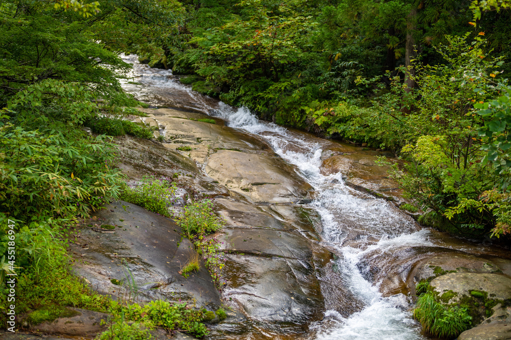 富山県富山市の立山連峰、鍬崎山、大品山、瀬戸蔵山の登山道の風景 A view of the trails in the Tateyama Mountain Range, Mt. Kuwasaki, Mt. Oshina, Mt. Setokura, Toyama city, Toyama prefecture. 富山県富山市の立山連峰、鍬崎山、大品山、瀬戸蔵山の登山道の風景 A view of the trails in the Tateyama Mountain Range, Mt. Kuwasaki, Mt. Oshina, Mt. Setokura, Toyama city, Toyama prefecture.