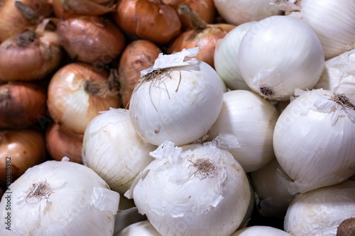 Two piles of white onions and traditional golden onions at a grocery store  lined-up  soft-focus in London  Canada. Produce  healthy cooking  flavouring ingredient  eye-watering vegetable.