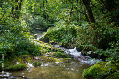 富山県富山市の立山連峰、鍬崎山、大品山、瀬戸蔵山の登山道の風景 A view of the trails in the Tateyama Mountain Range, Mt. Kuwasaki, Mt. Oshina, Mt. Setokura, Toyama city, Toyama prefecture. 