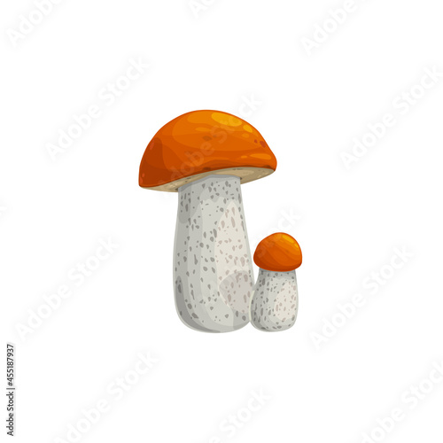 Mushroom, autumn fall harvest, forest boletus isolated vector icon. Orange or brown cap boletus mushroom, Thanksgiving holiday autumn harvest and food
