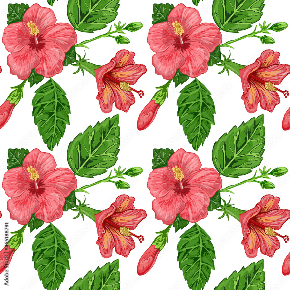 illustration of a seamless pattern of hibiscus plants flowers and leaves of a plant on a background