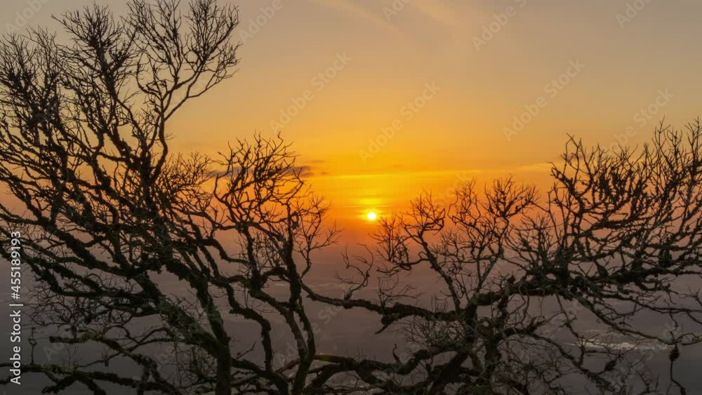 Bare branches of an old tree on a sunset background, view from the mountain, Portugal, panorama timelapse 4k Bare branches of an old tree on a sunset background, view from the mountain, Portugal, panorama timelapse 4k