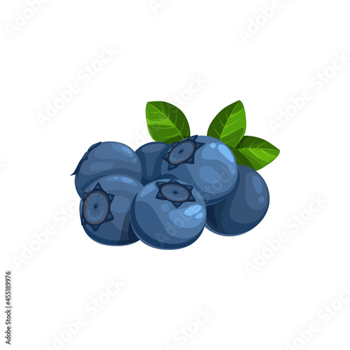 Blueberry heap with green leaves, isolated vector wild berries on white background. Cartoon fresh great bilberry, healthy food, organic natural huckleberry, raw production, design element