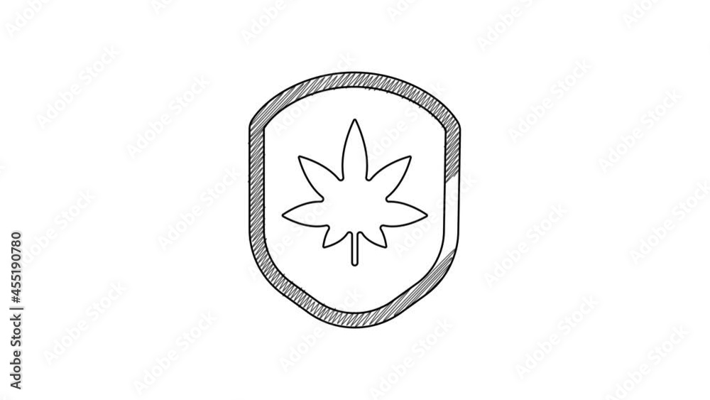 Black line Shield and marijuana or cannabis leaf icon isolated on white background. Marijuana legalization. Hemp symbol. 4K Video motion graphic animation Black line Shield and marijuana or cannabis leaf icon isolated on white background. Marijuana legalization. Hemp symbol. 4K Video motion graphic animation