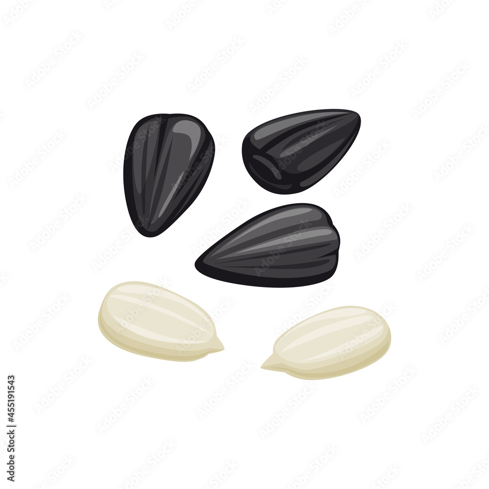 Sunflower peeled white seeds and unpeeled black shell isolated food snack. Vector natural oil ingredient, nutrition dieting sunflower seeds, superfood healthy vegetarian eating, roasted or raw