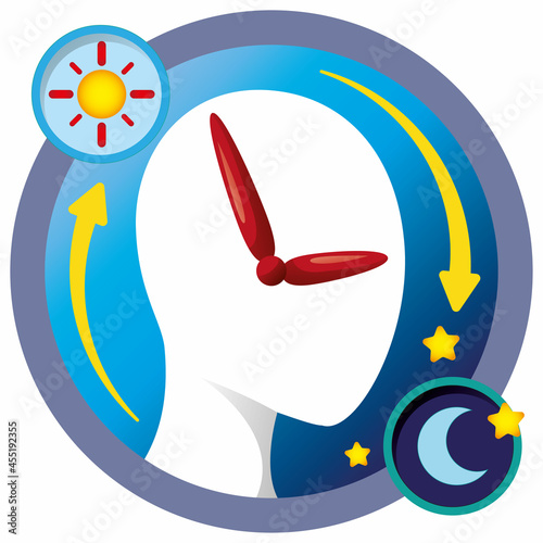 Illustration the cycle of a person's biological clock. Ideal for visual communication and institutional material