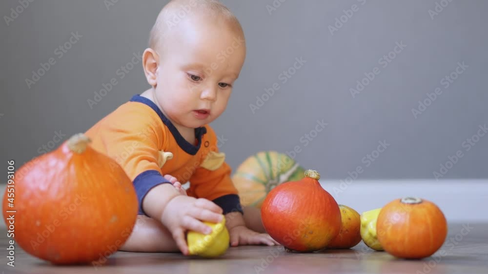 caucasian blue eyed baby in orange clothes sitting among small pumpkins and playing with vegetables caucasian blue eyed baby in orange clothes sitting among small pumpkins and playing with vegetables