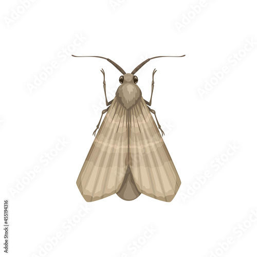Moth icon, insect pest control disinsection and domestic sanitary extermination, vector. Moth or clothes moth vermin and parasite insect, disinfection and agrarian pesticide pest control photo