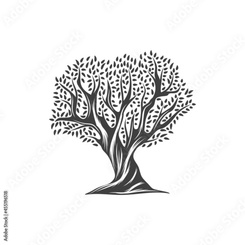 Olive tree with leaves icon, olive oil vegetable and nature food plant, vector isolated label. Olive tree with olives on branches, extra virgin organic package, Mediterranean Greece cuisine