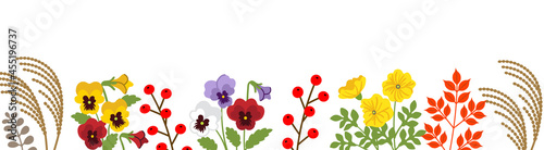 Autumn flower and plants