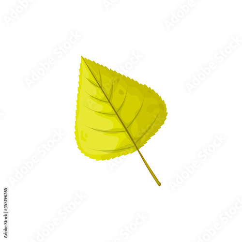 Autumn leaf, tree foliage fall, green leaves, vector isolated icon. Birch or poplar and linden tree leaf, fall season nature plants falt symbol