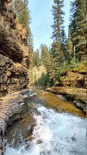 river in the forest of ousel falls montana