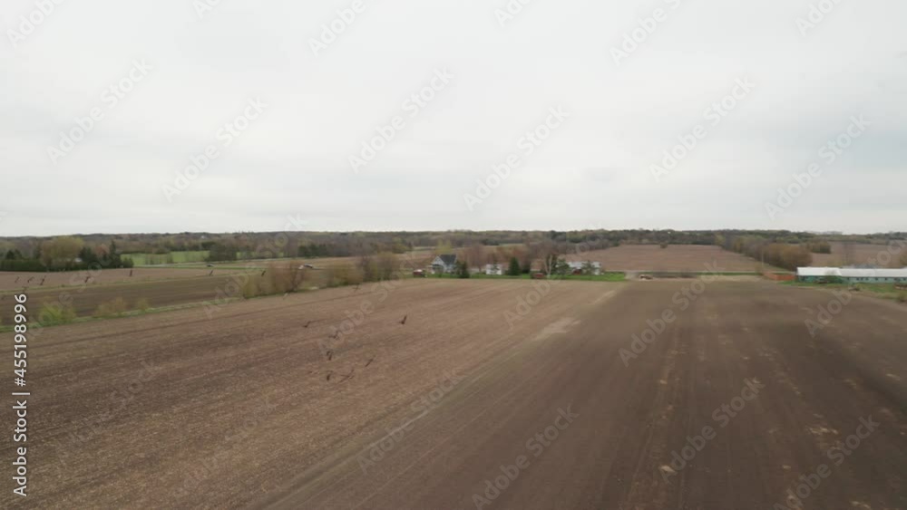Crows scatter and fly away as drone approaches flying over newly seeded farm field with barn and silos in distance. Commercial farming and flat open farm land. Crows scatter and fly away as drone approaches flying over newly seeded farm field with barn and silos in distance. Commercial farming and flat open farm land.