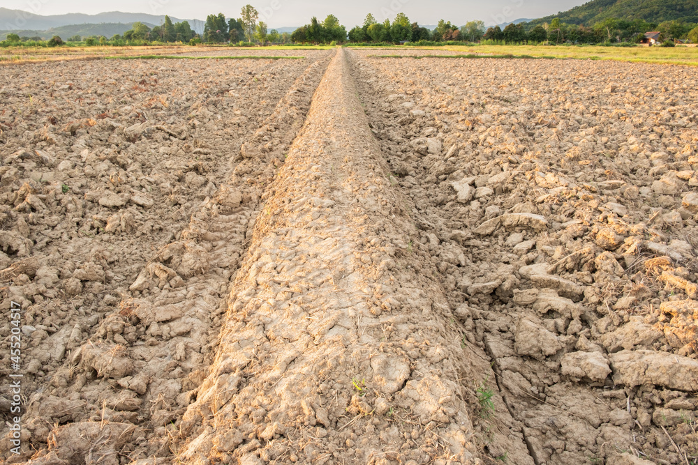 Ridge and Plow for preparing for farming. Ridge and Plow for preparing for farming.