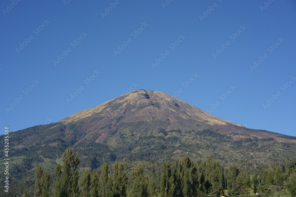 mountain in autumn