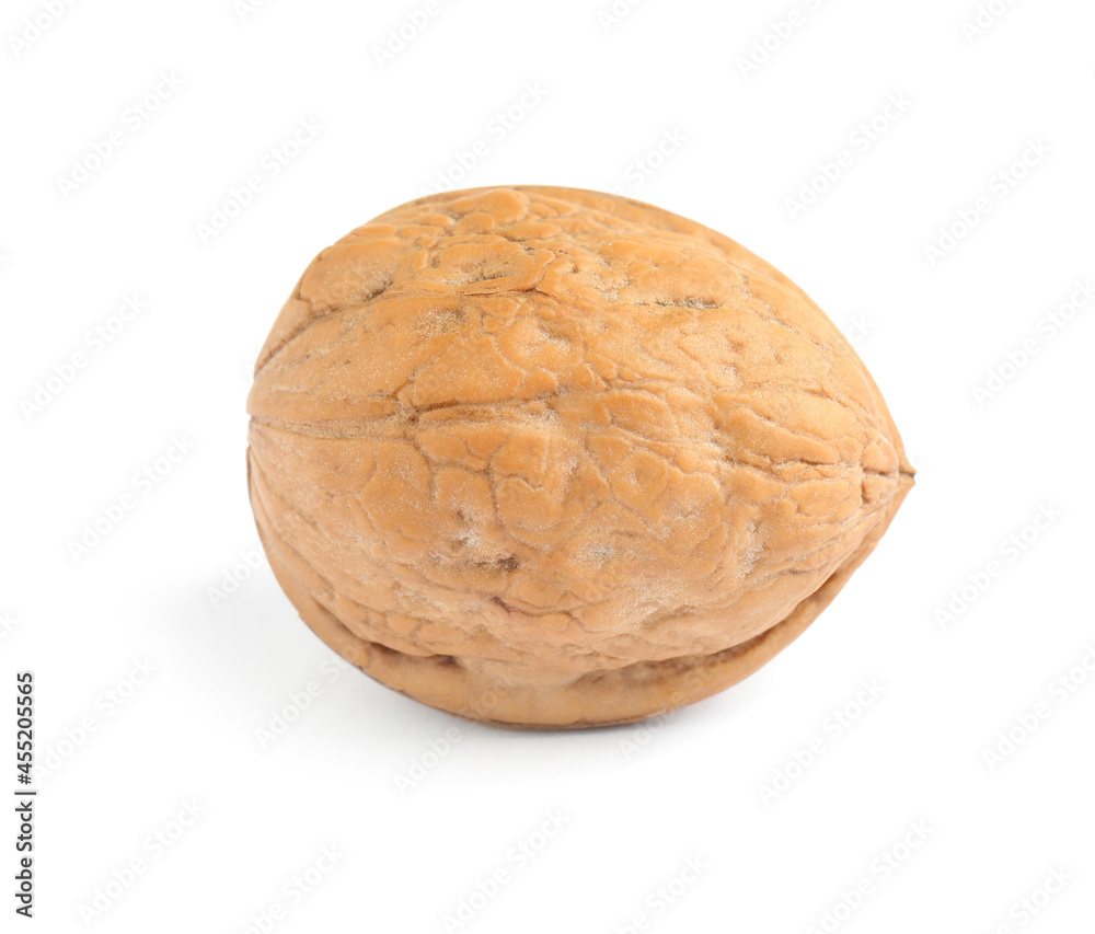 Whole walnut in shell isolated on white Whole walnut in shell isolated on white